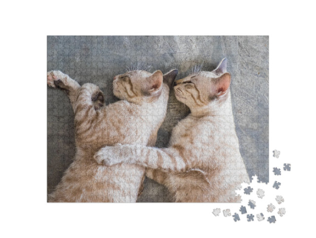 Puzzel 1000 stukjes „Twee katten die een dutje doen“