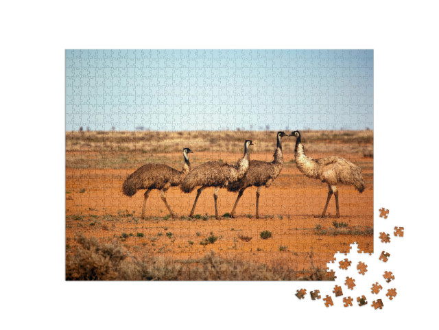 Puzzel 1000 stukjes „Emoes in het wild, Outback New South Wales, Australië.“
