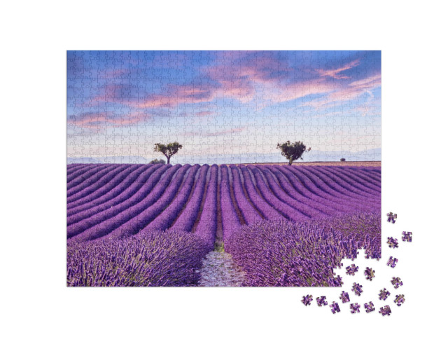 Puzzel 1000 stukjes „Lavendelveld in de zomer, Frankrijk, Provence“