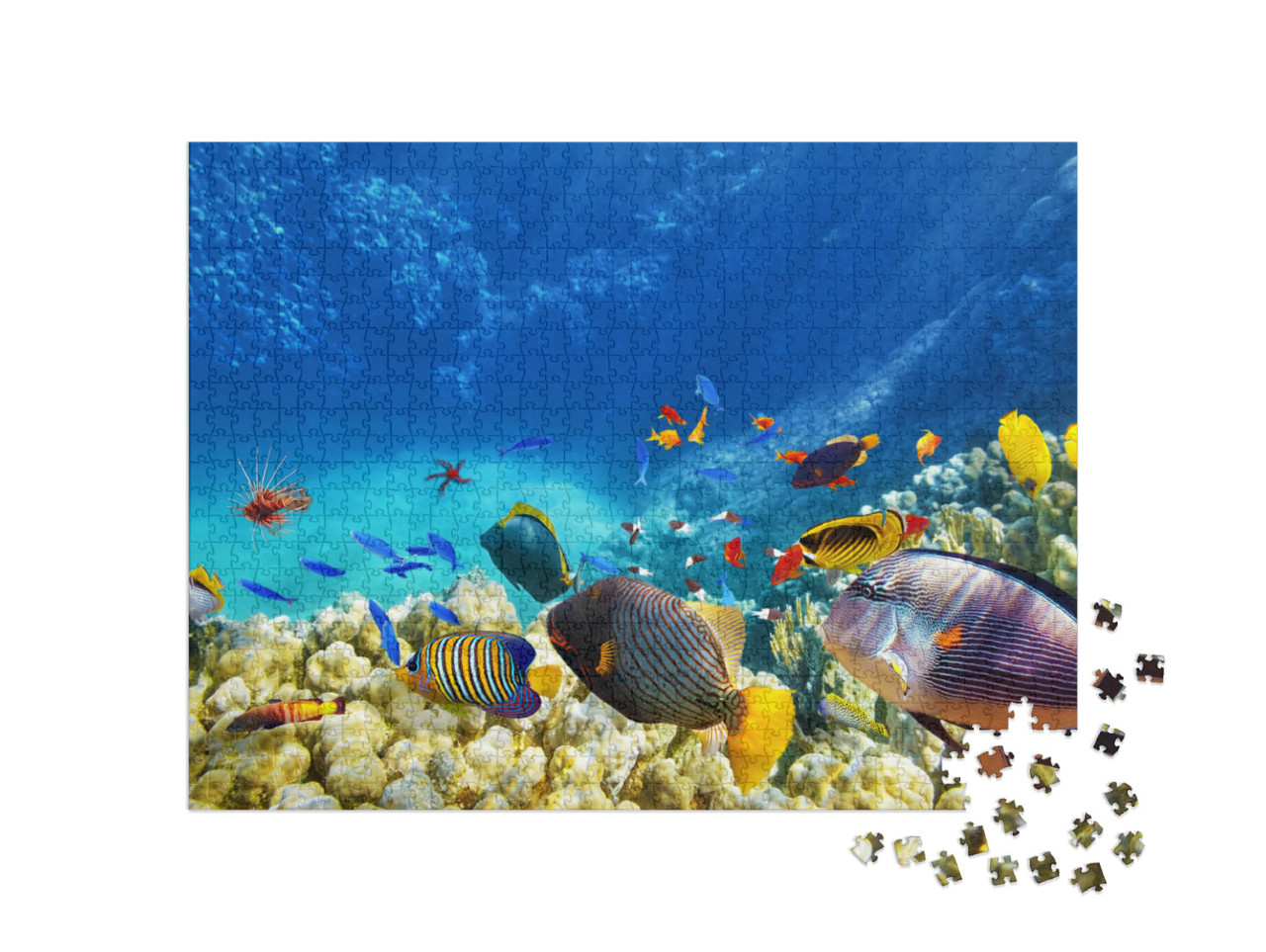 Puzzel 1000 stukjes „Onderwaterwereld met koralen en tropische vissen“