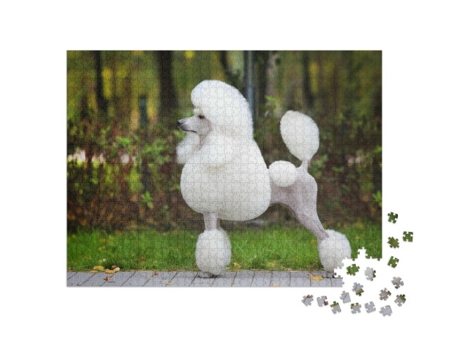 Puzzel 1000 stukjes „Koningspoedel in het park“