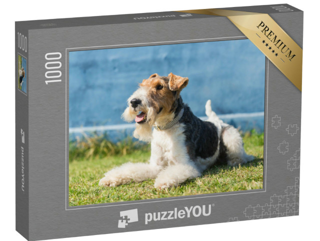 Puzzel 1000 stukjes „Vrolijke vos terriër“