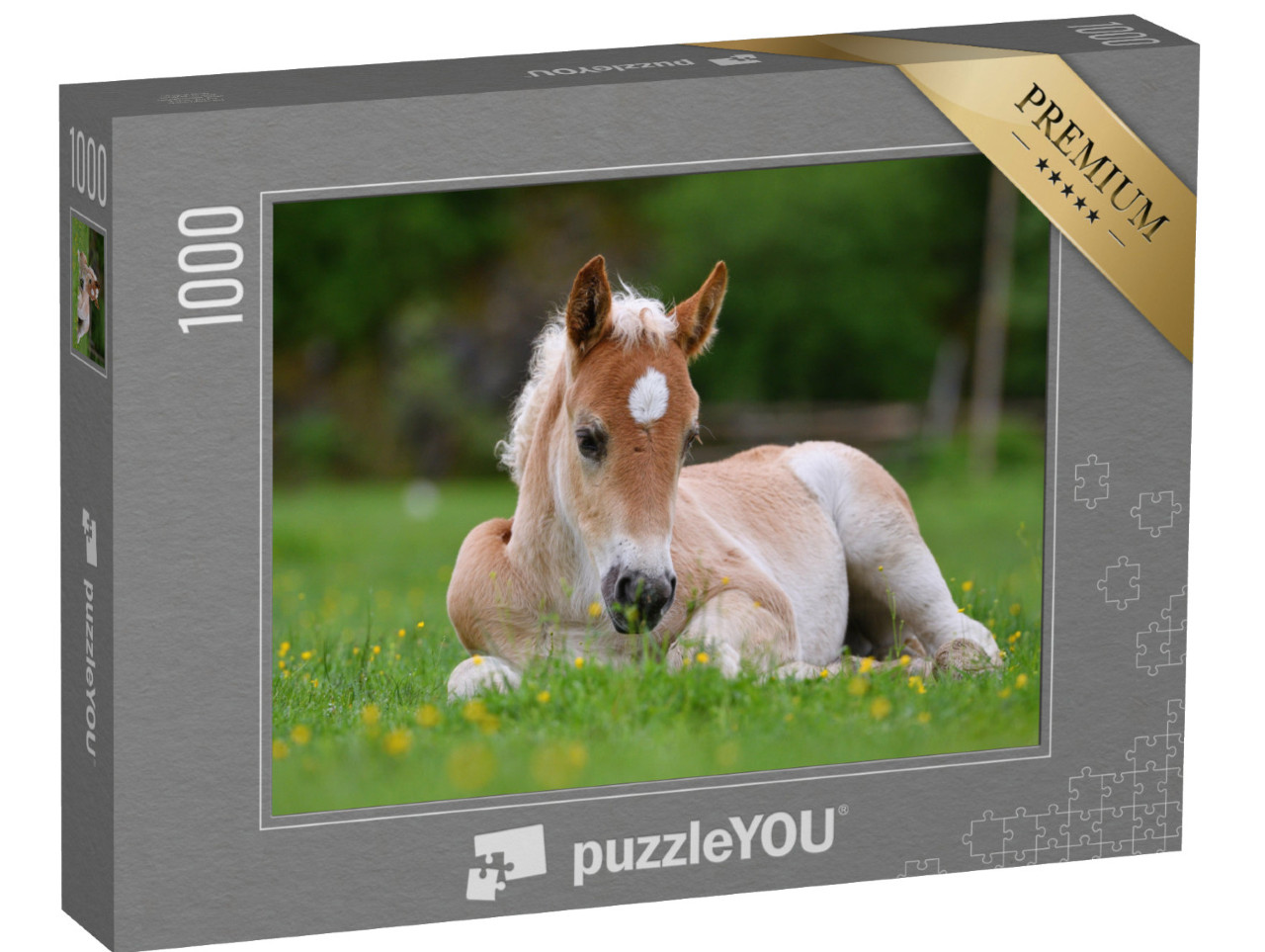 Puzzel 1000 stukjes „Mooi veulen in het gras“