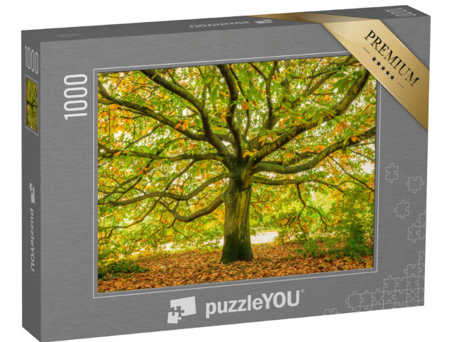 Puzzel 1000 stukjes „Oude boom in de herfst“