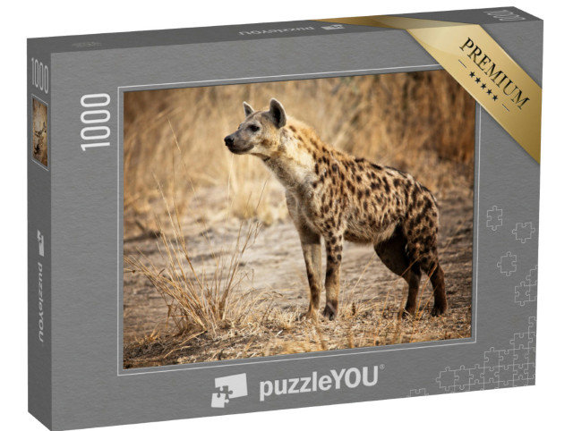Puzzel 1000 stukjes „Hyena in het Luangwa National Park in Zambia“