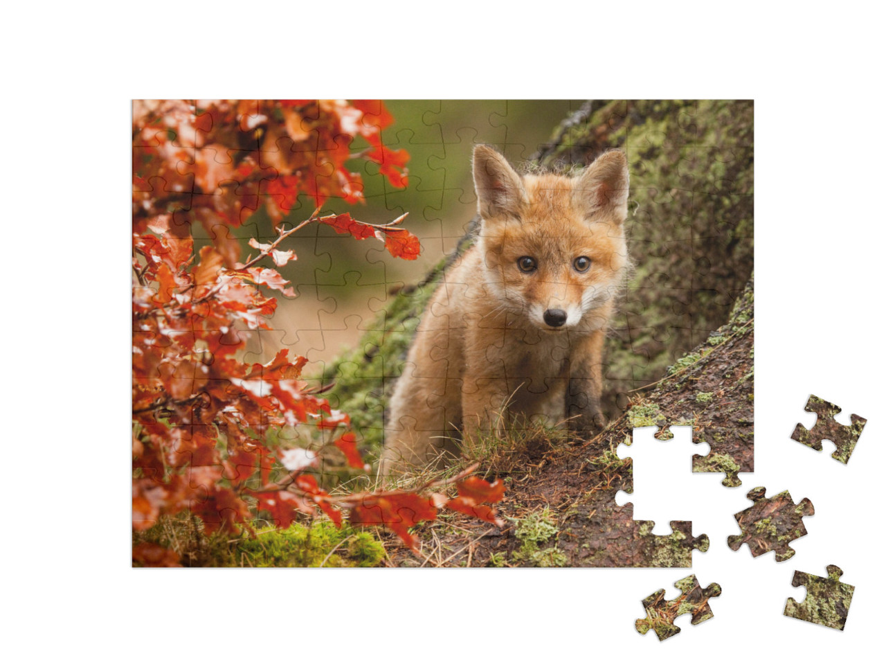 Puzzel 100 stukjes „Nieuwsgierig vossenjong“