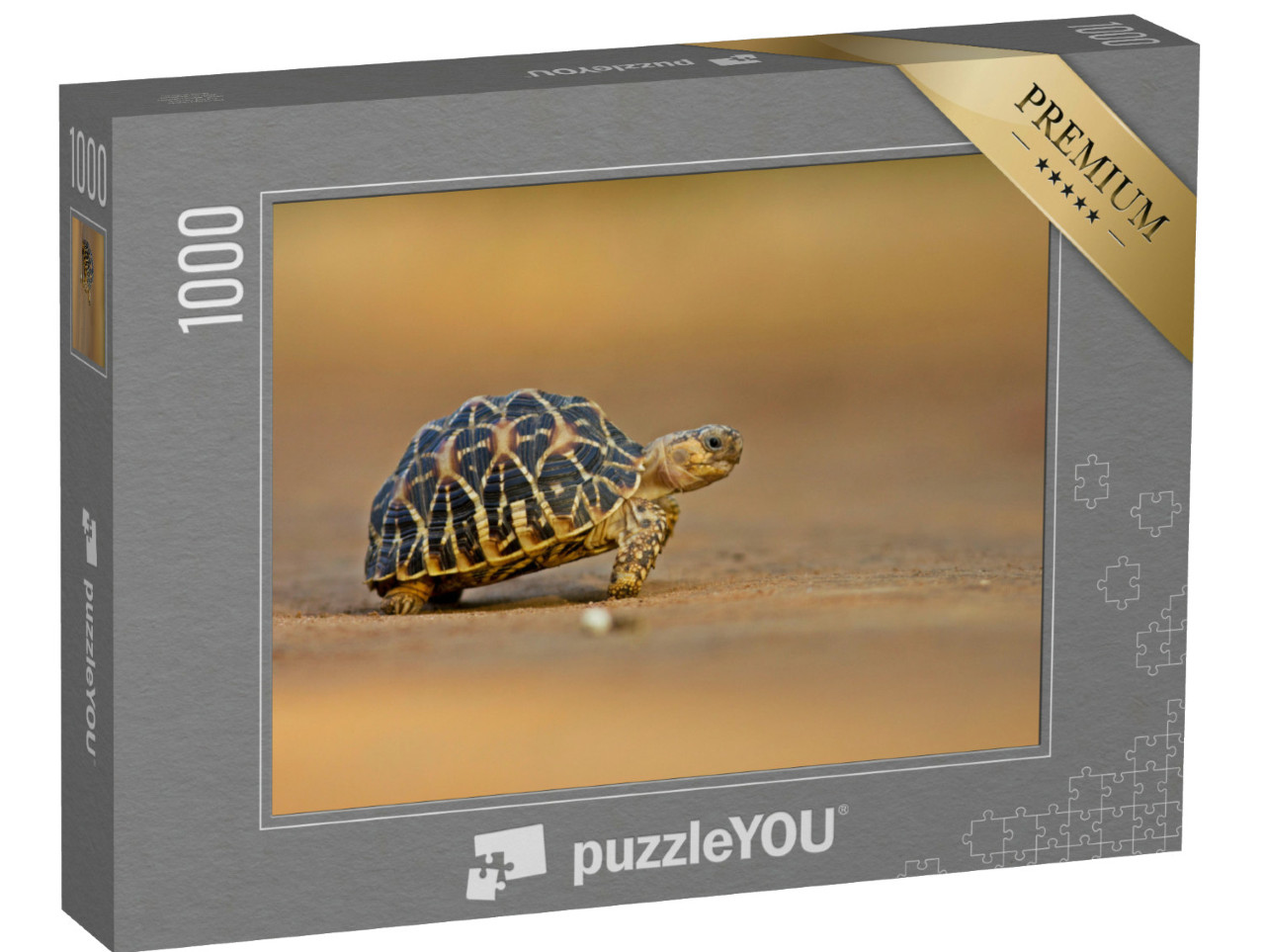 Puzzel 1000 stukjes „Indische sterschildpad“