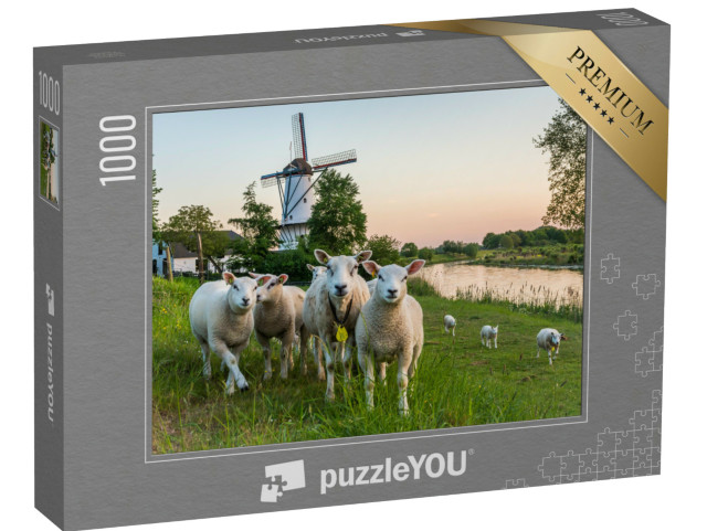 Puzzel 1000 stukjes „Landschap met de traditionele windmolen "De Vlinder" en een kudde schapen in Deil“