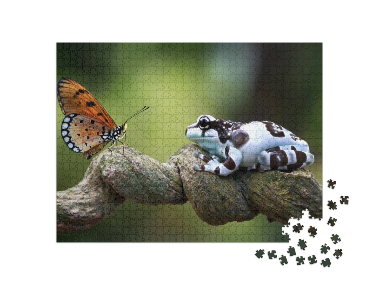 Puzzel 1000 stukjes „Amazone melkkikker, oog in oog met een vlinder“