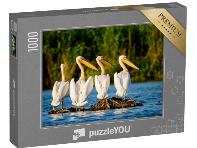 Puzzel 1000 stukjes „Pelikaankolonie in de Donaudelta, Roemenië“