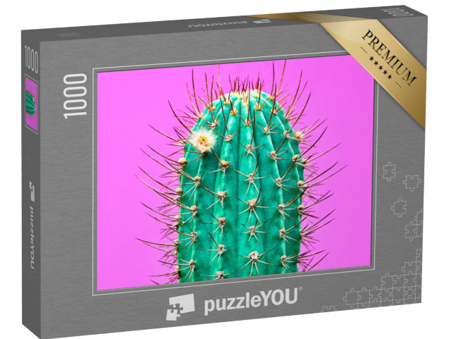 Puzzel 1000 stukjes „Hedendaagse kunst: modieuze cactus op roze achtergrond“