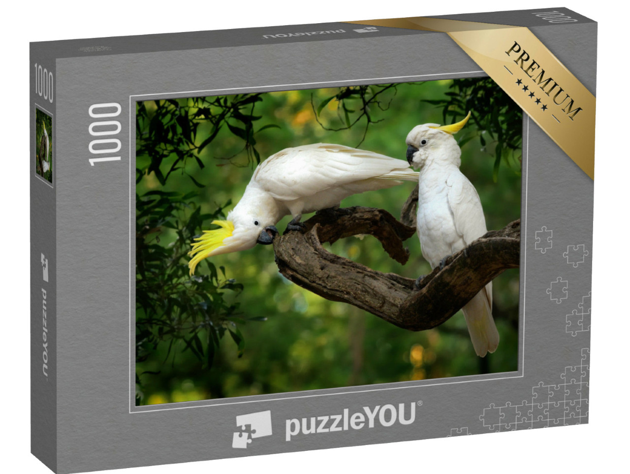 Puzzel 1000 stukjes „Cacatua galerit, Sulphur-crested Cockatoo op een tak, Australië“