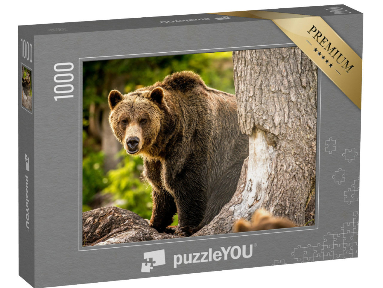 Puzzel 1000 stukjes „Volwassen grizzlybeer rent door het bos“