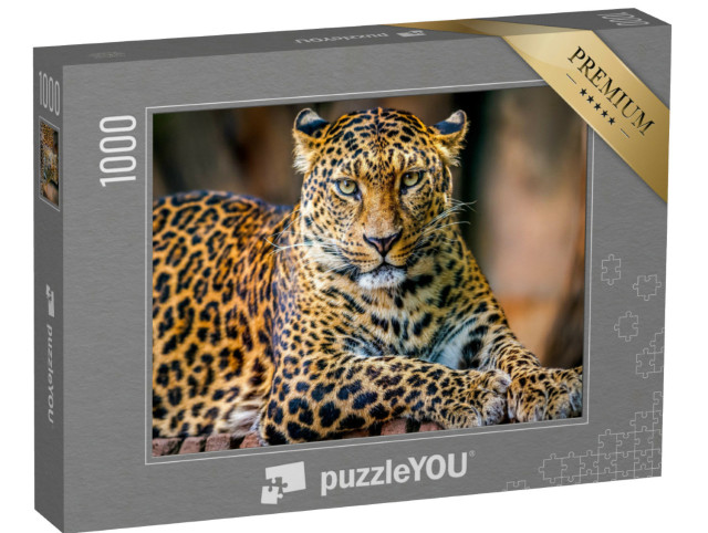 Puzzel 1000 stukjes „Portret van een luipaard“