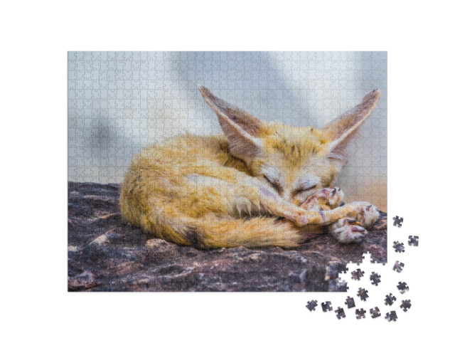Puzzel 1000 stukjes „Kleine Fennec vos in slaap“