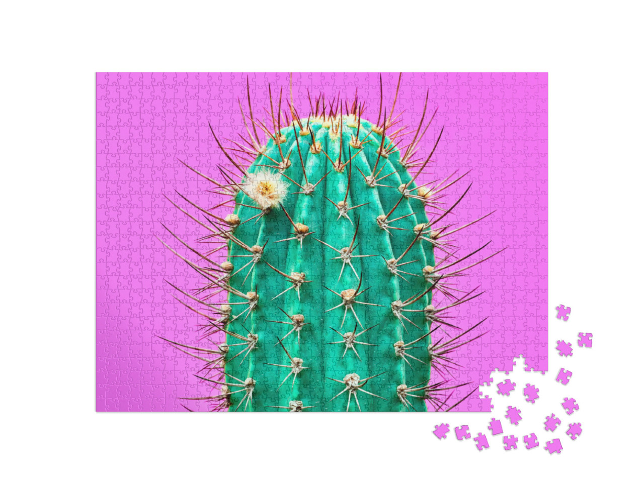 Puzzel 1000 stukjes „Hedendaagse kunst: modieuze cactus op roze achtergrond“