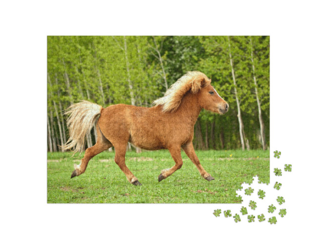 Puzzel 1000 stukjes „Pony dravend in een zomerweide“