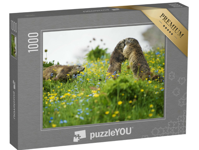 Puzzel 1000 stukjes „Scène van een herkenningsritueel voor marmotten“