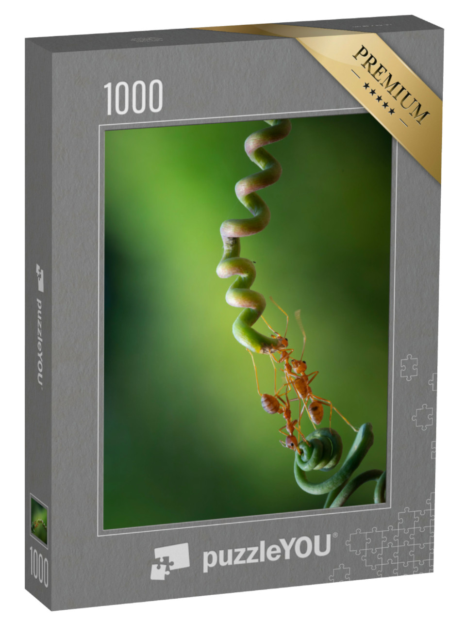 Puzzel 1000 stukjes „Mieren verzamelen voedsel als een team“