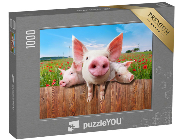 Puzzel 1000 stukjes „Jonge varkens op de boerderij kijken over het hek“