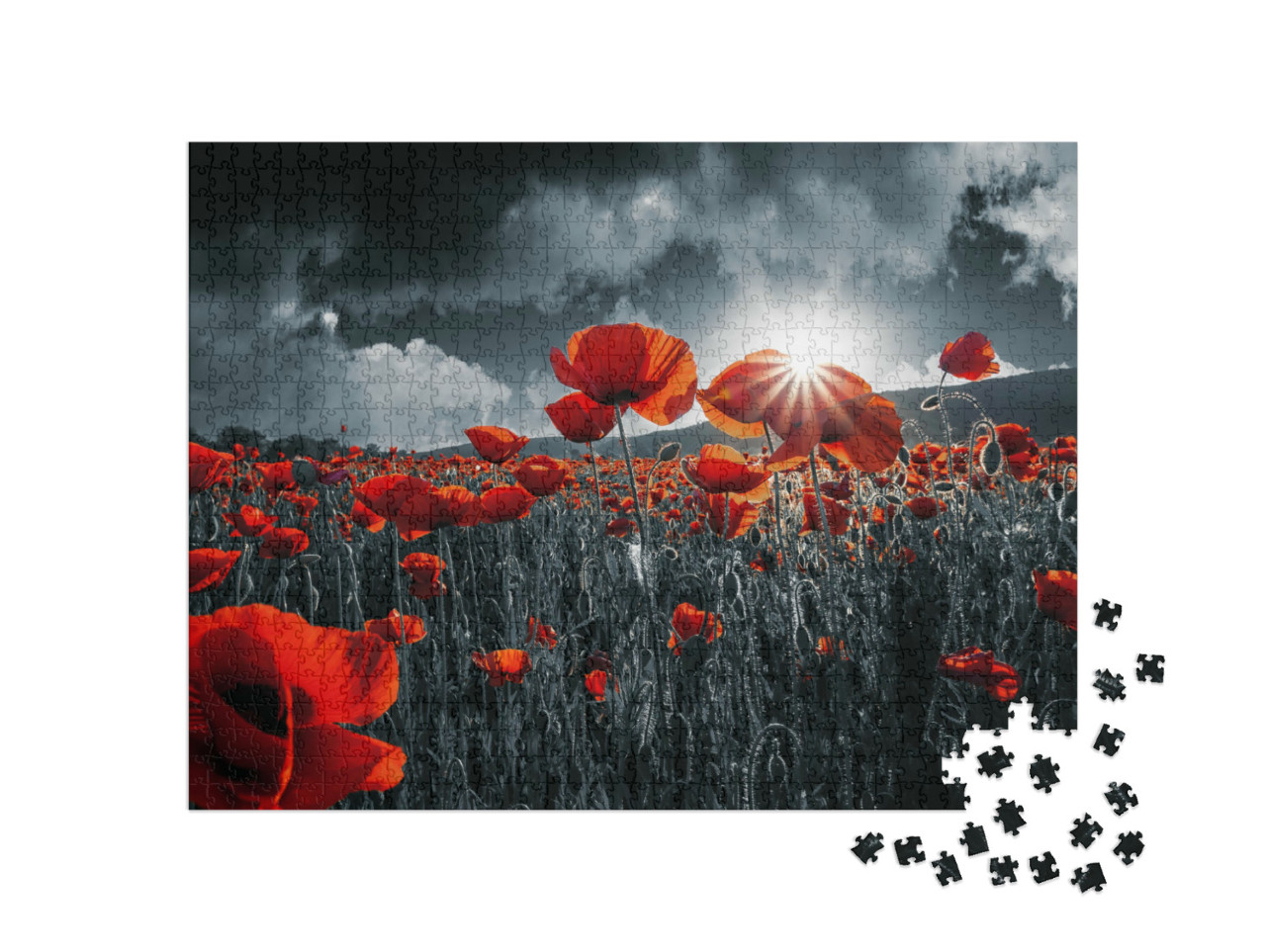 Puzzel 1000 stukjes „Rode klaprozen“