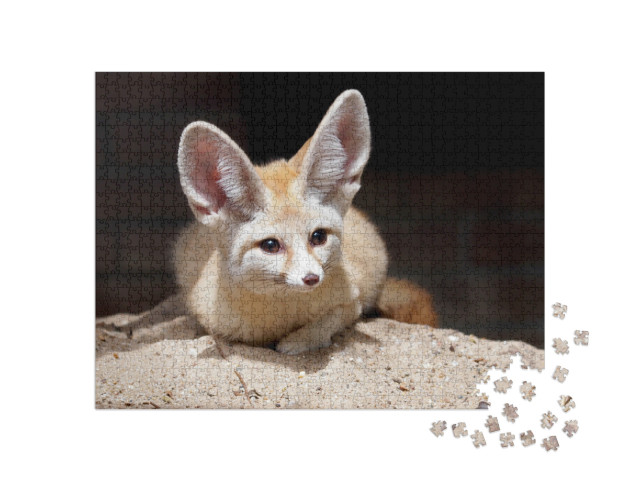 Puzzel 1000 stukjes „Fennec of woestijnvos“