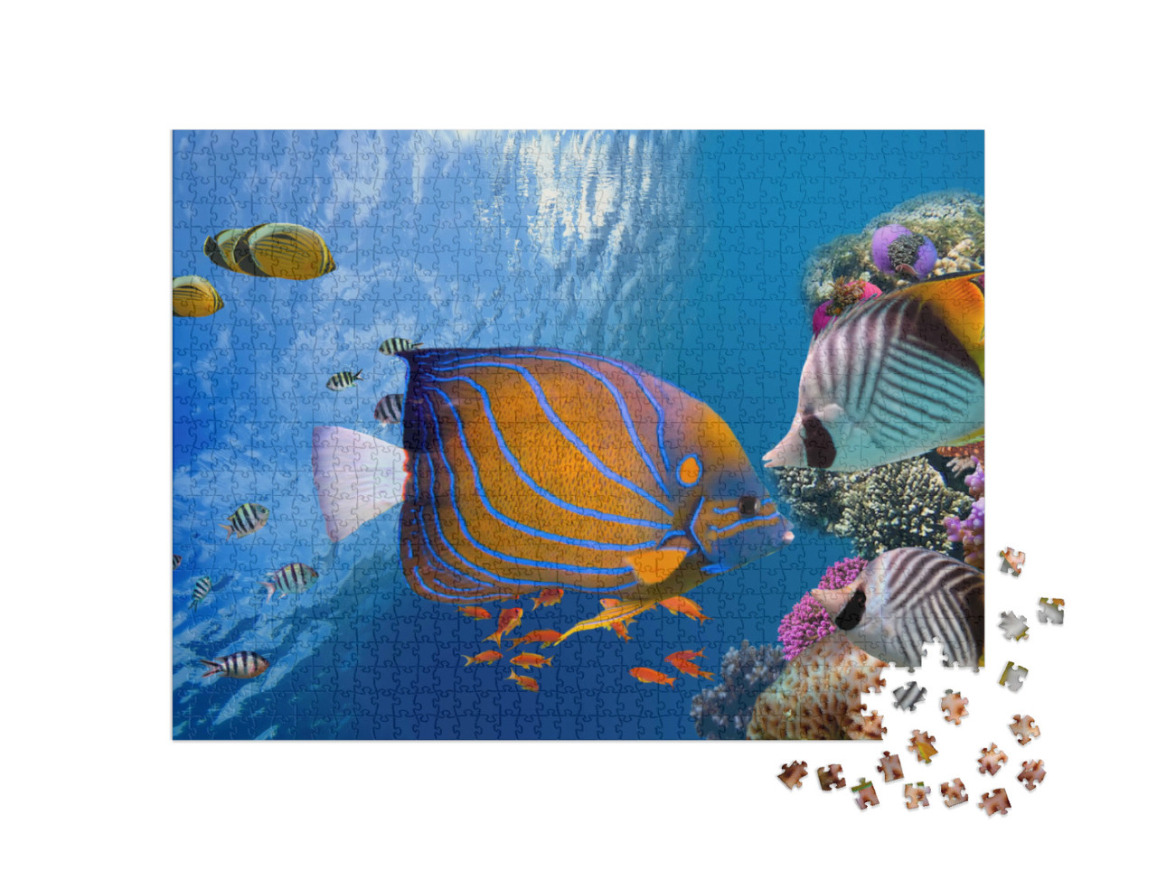 Puzzel 1000 stukjes „Betoverende onderwaterwereld, Rode Zee“