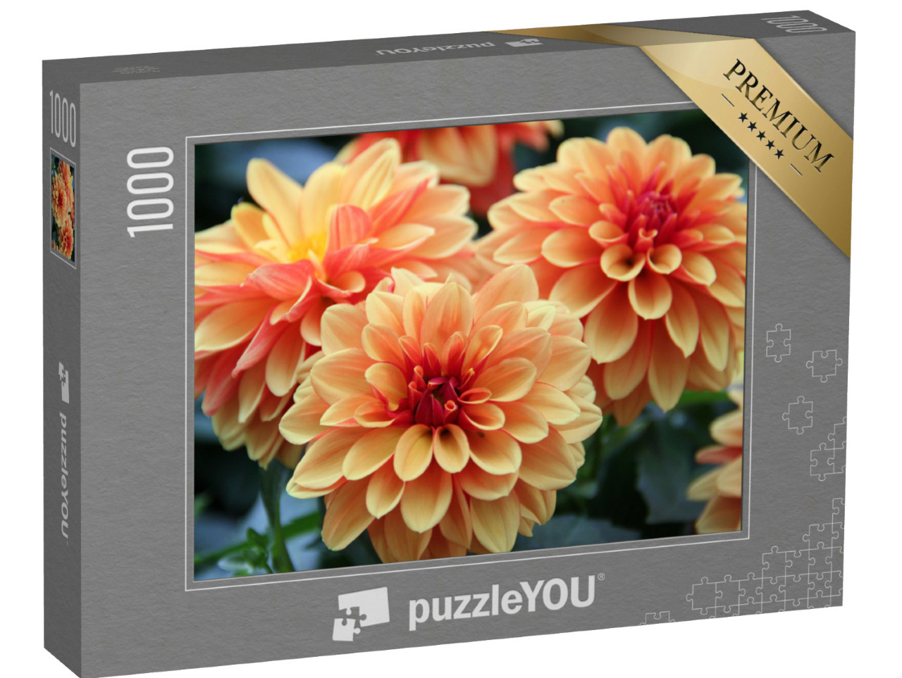 Puzzel 1000 stukjes „Kleurrijke dahliabloesems“