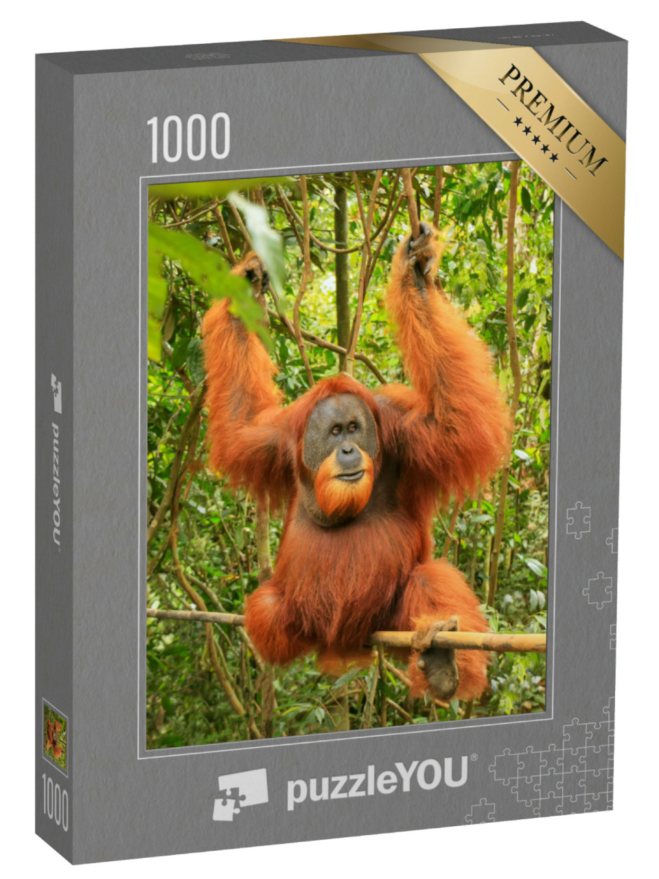 Puzzel 1000 stukjes „Mannelijke Sumatraanse orang-oetan, nationaal park Gunung Leuser“