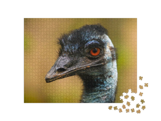 Puzzel 1000 stukjes „Close-up van een emoe met snavel en kop“