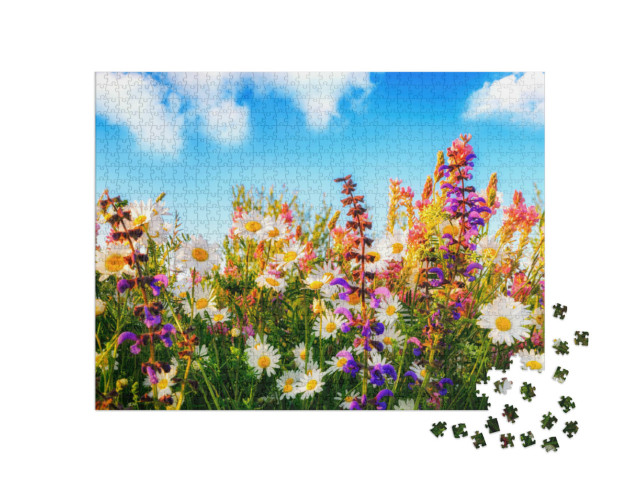 Puzzel 1000 stukjes „Kleurrijke lentebloemen in een weiland“
