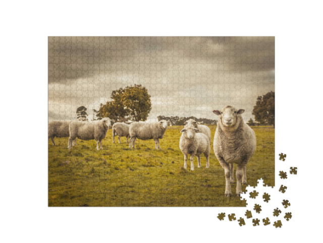 Puzzel 1000 stukjes „Schapen in de wei“