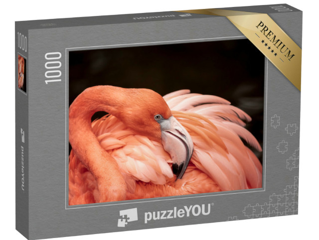Puzzel 1000 stukjes „Portret van een roze flamingo“
