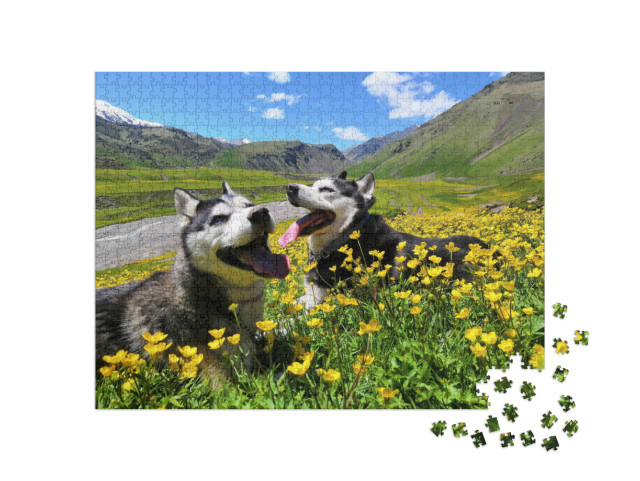 Puzzel 1000 stukjes „Twee Siberische husky's in de bergen van de Kaukasus“