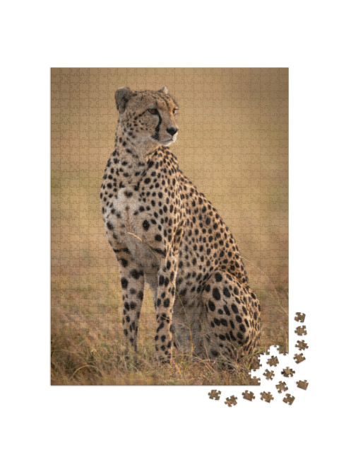 Puzzel 1000 stukjes „Zittend jachtluipaard“