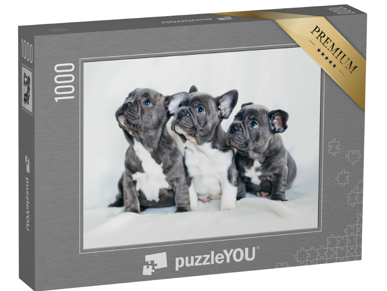 Puzzel 1000 stukjes „Portret van drie schattige bulldog puppy's“