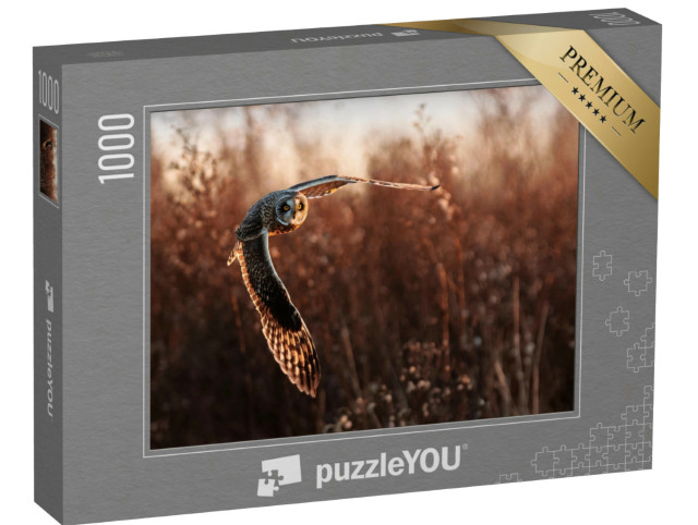 Puzzel 1000 stukjes „Velduil tijdens de jacht“