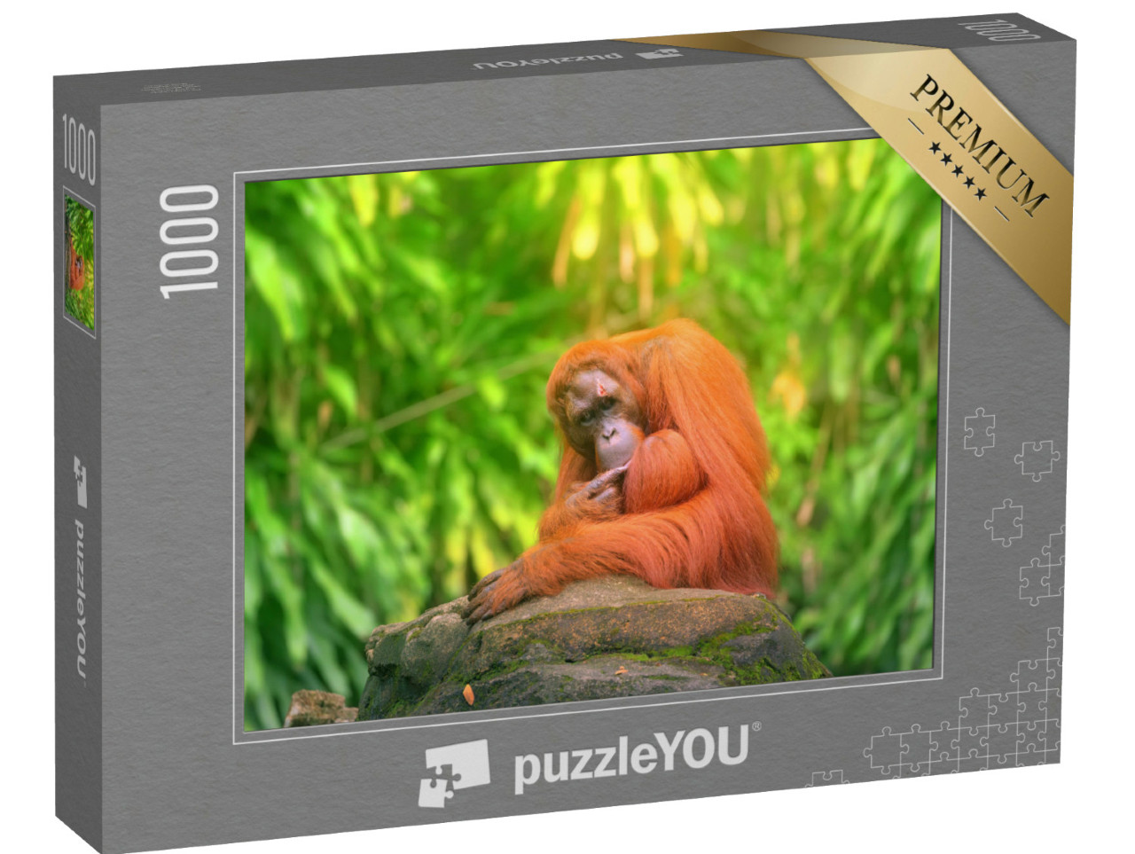 Puzzel 1000 stukjes „Volwassen orang-oetan in de jungle“