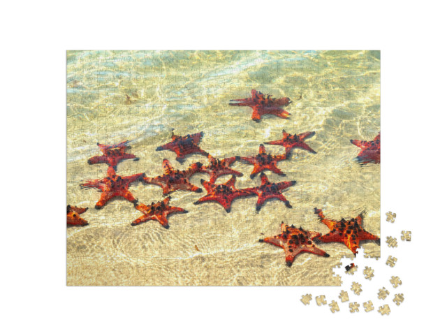 Puzzel 1000 stukjes „Zonnebadende zeesterren“
