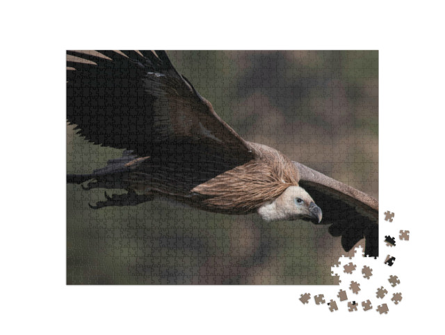 Puzzel 1000 stukjes „Vale gier tijdens de vlucht“