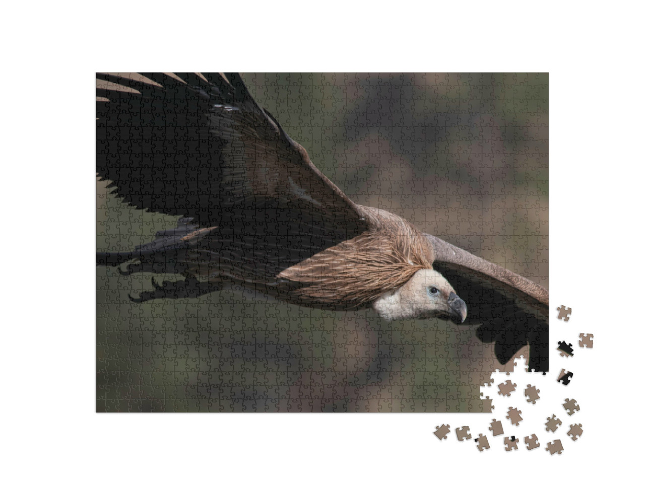 Puzzel 1000 stukjes „Vale gier tijdens de vlucht“