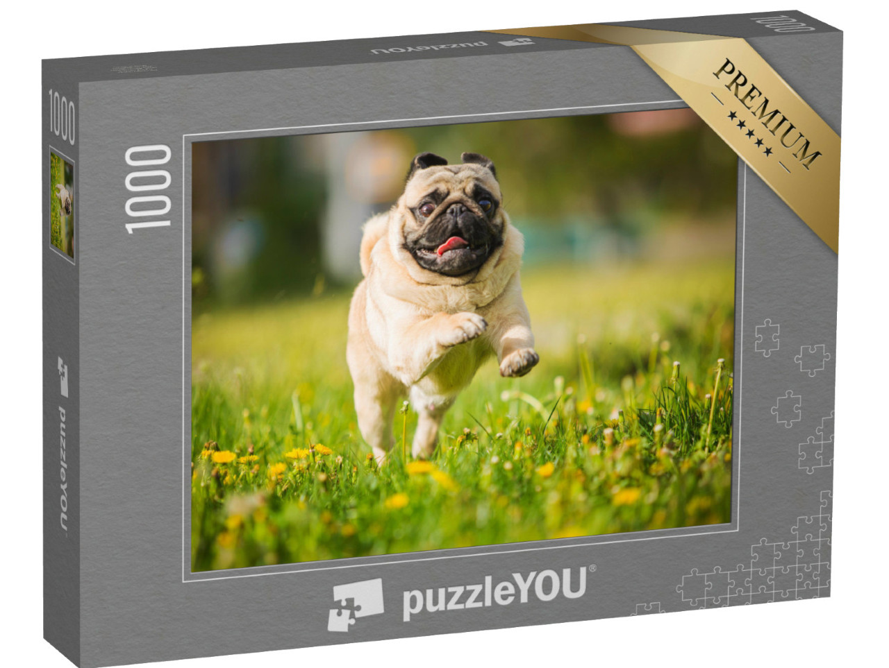 Puzzel 1000 stukjes „Mopshond in volle ren over een paardenbloemweide“