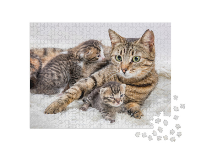 Puzzel 1000 stukjes „Moeder kat en kitten, kitten“