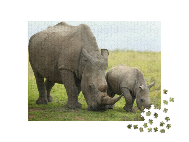 Puzzel 1000 stukjes „Close-up van een vrouwelijke neushoorn met kalf, Zuid-Afrika“