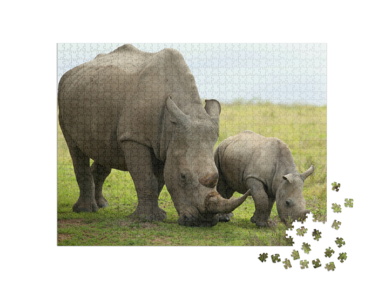 Puzzel 1000 stukjes „Close-up van een vrouwelijke neushoorn met kalf, Zuid-Afrika“