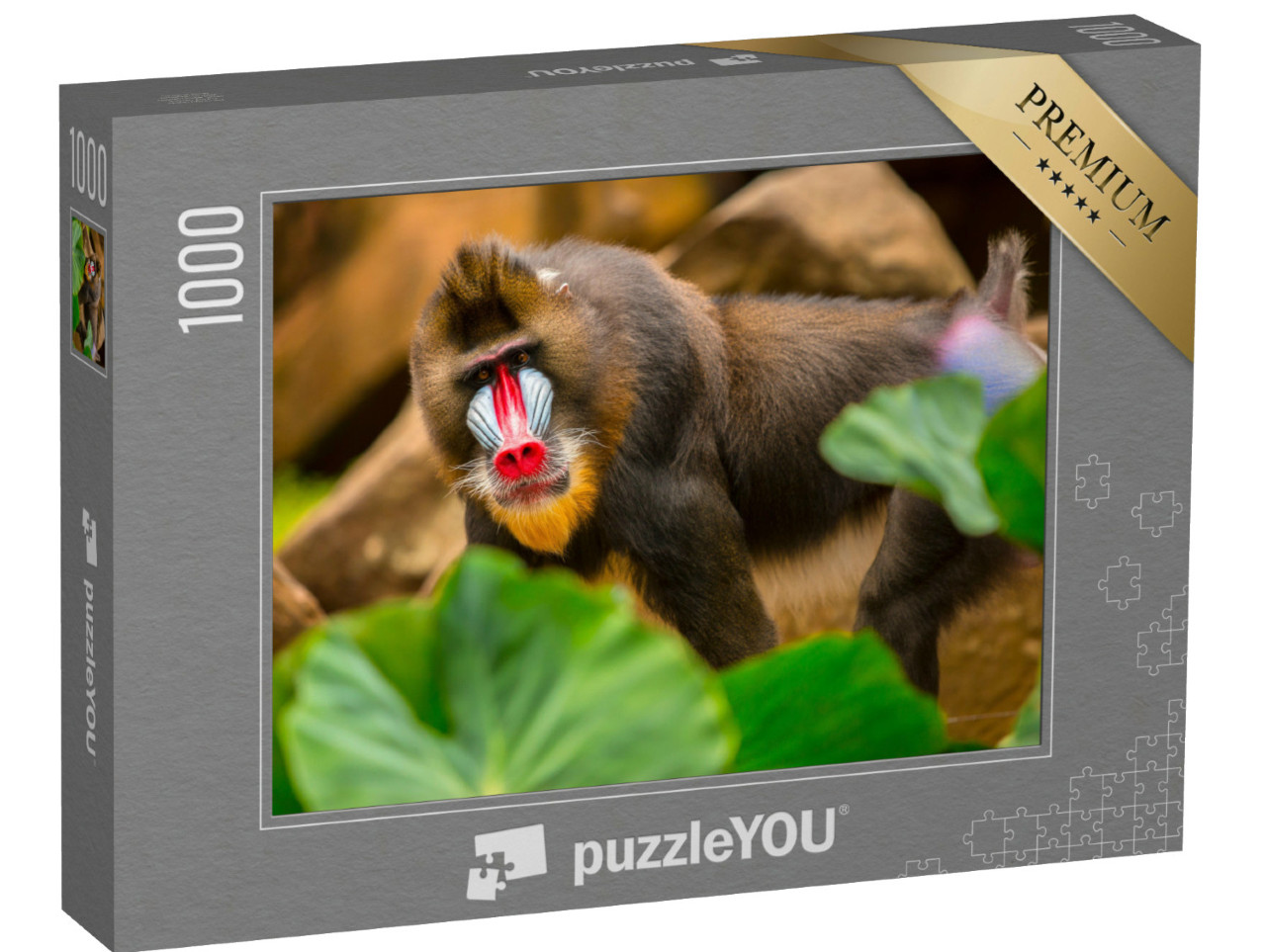 Puzzel 1000 stukjes „Een mandril met een regenbooggezicht, typisch voor de soort“
