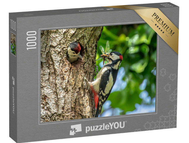 Puzzel 1000 stukjes „Grote bonte specht voedt een kuiken“