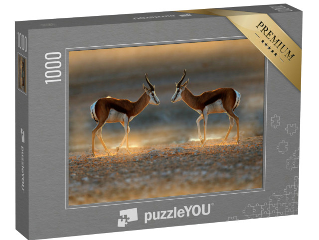 Puzzel 1000 stukjes „Springbokantilope bij zonsondergang, Namibië“
