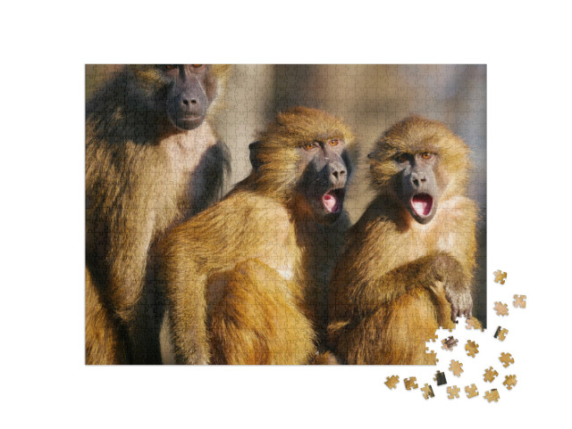 Puzzel 1000 stukjes „Opwinding in de bavianenfamilie“
