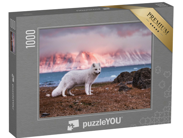 Puzzel 1000 stukjes „Poolvos in de herfstzon“